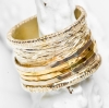 David Tishbi Spinner Ring with Solid Sterling Silver with 18K Gold Spinner Bands